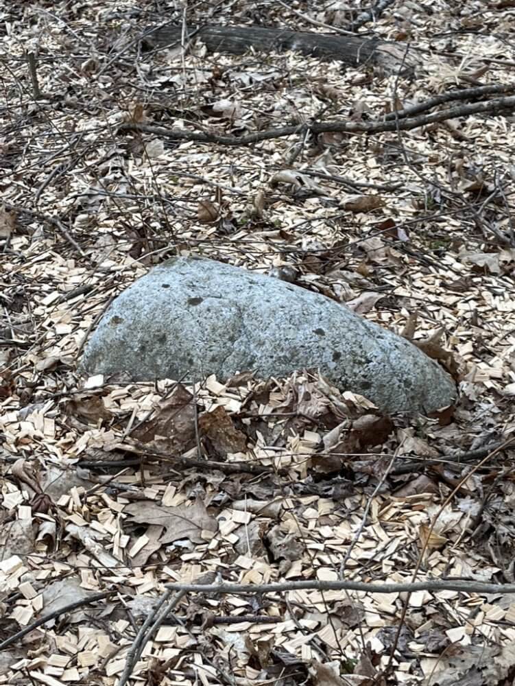 A Meditative Boulder