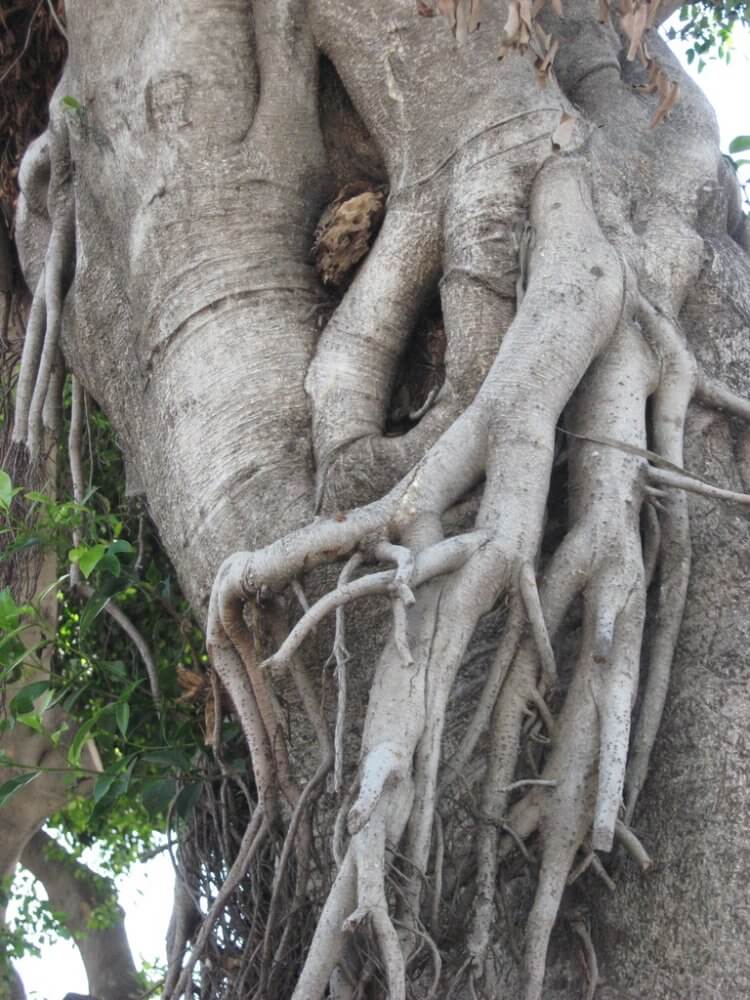 עם ישראל צריך חיבוק